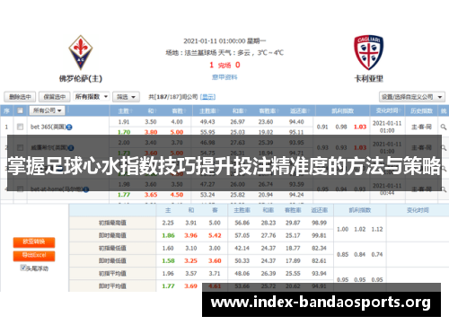 掌握足球心水指数技巧提升投注精准度的方法与策略