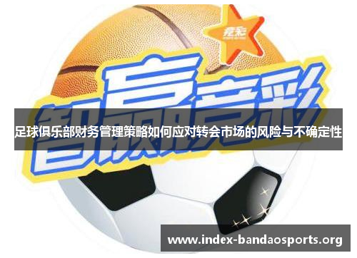 足球俱乐部财务管理策略如何应对转会市场的风险与不确定性