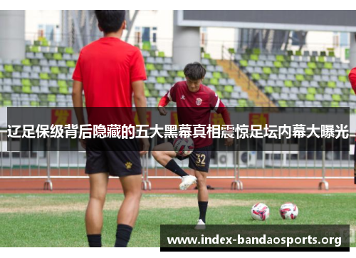 辽足保级背后隐藏的五大黑幕真相震惊足坛内幕大曝光 辽足保级背后隐藏的五大黑幕真相震惊足坛内幕大曝光
