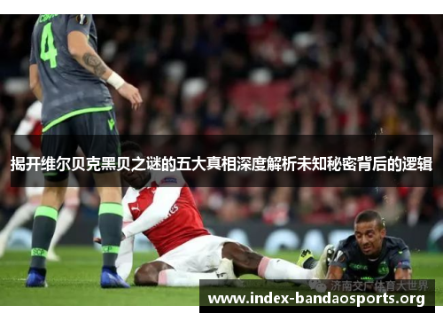 揭开维尔贝克黑贝之谜的五大真相深度解析未知秘密背后的逻辑 揭开维尔贝克黑贝之谜的五大真相深度解析未知秘密背后的逻辑