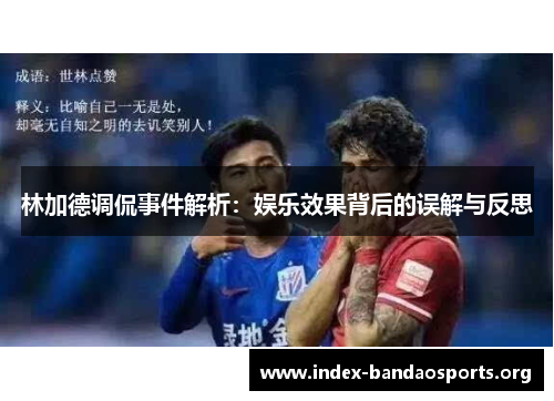 林加德调侃事件解析:娱乐效果背后的误解与反思 林加德调侃事件解析:娱乐效果背后的误解与反思