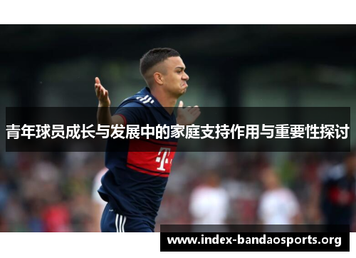 青年球员成长与发展中的家庭支持作用与重要性探讨